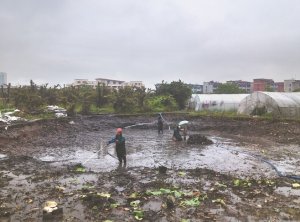 衡山河道鱼塘清淤